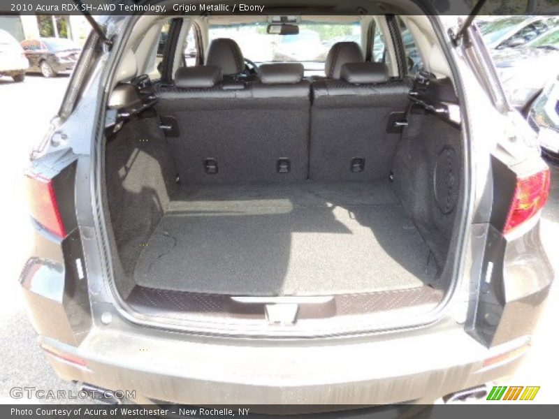 Grigio Metallic / Ebony 2010 Acura RDX SH-AWD Technology