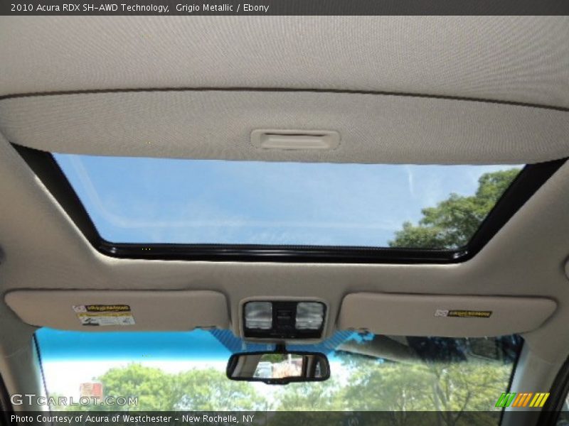 Grigio Metallic / Ebony 2010 Acura RDX SH-AWD Technology