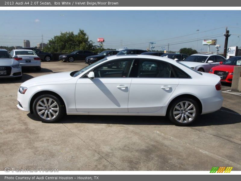 Ibis White / Velvet Beige/Moor Brown 2013 Audi A4 2.0T Sedan