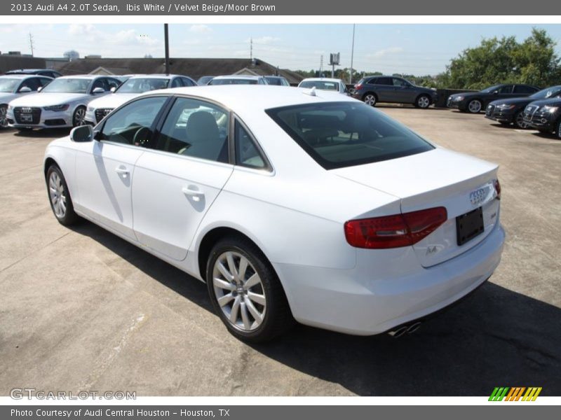 Ibis White / Velvet Beige/Moor Brown 2013 Audi A4 2.0T Sedan