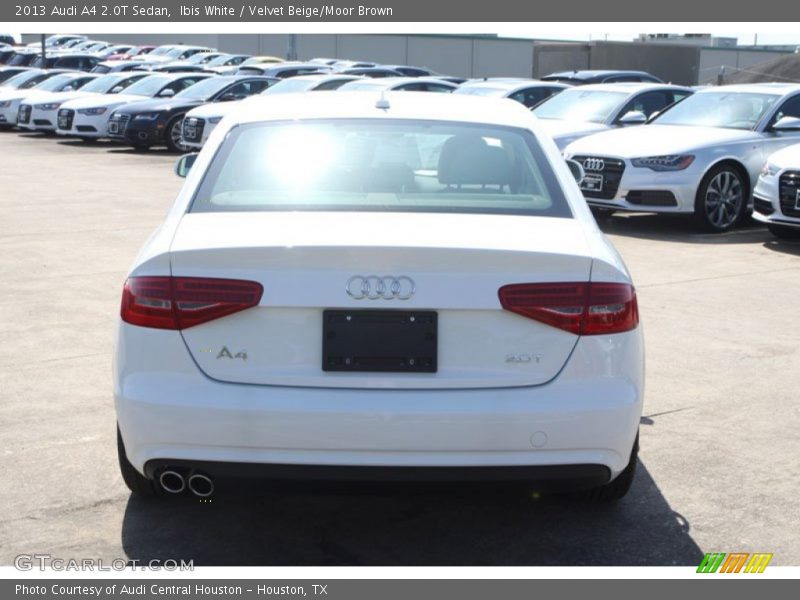 Ibis White / Velvet Beige/Moor Brown 2013 Audi A4 2.0T Sedan