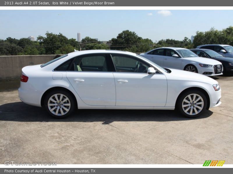 Ibis White / Velvet Beige/Moor Brown 2013 Audi A4 2.0T Sedan