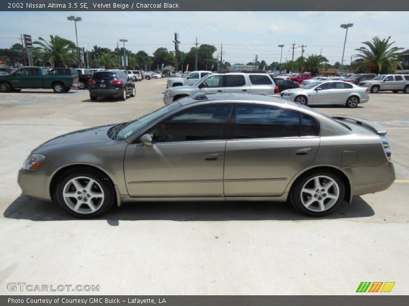 Velvet Beige / Charcoal Black 2002 Nissan Altima 3.5 SE