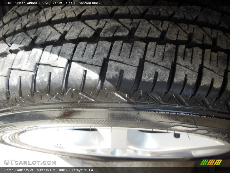 Velvet Beige / Charcoal Black 2002 Nissan Altima 3.5 SE