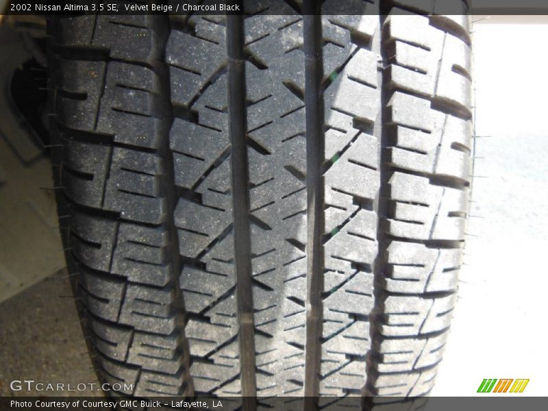 Velvet Beige / Charcoal Black 2002 Nissan Altima 3.5 SE