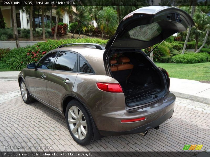 Beryllium 16 / Brick/Black 2003 Infiniti FX 35