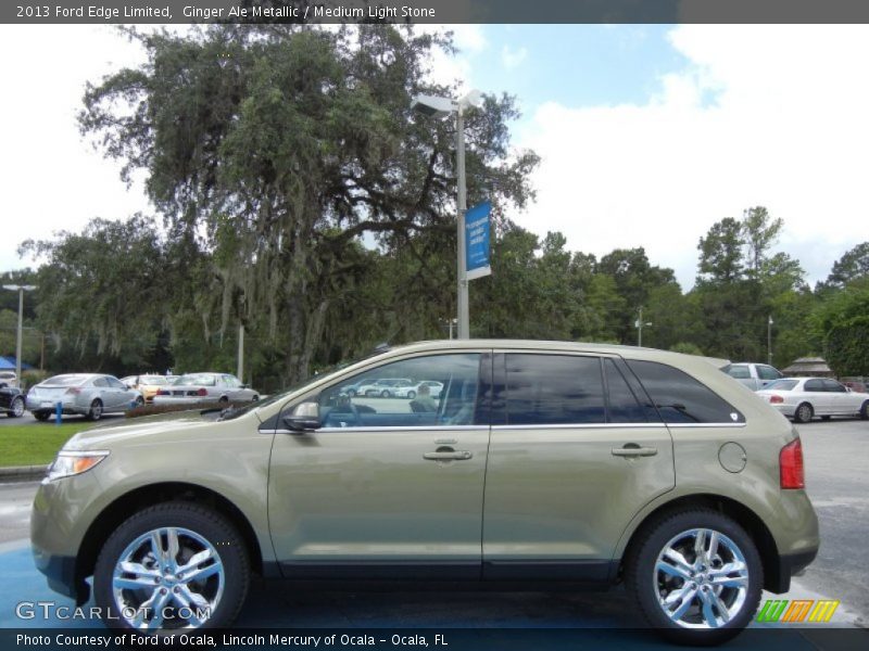  2013 Edge Limited Ginger Ale Metallic