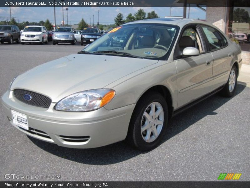 Gold Ash Metallic / Medium/Dark Pebble Beige 2006 Ford Taurus SEL
