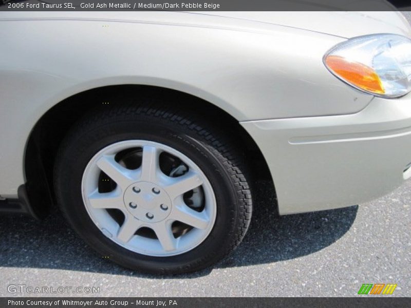 Gold Ash Metallic / Medium/Dark Pebble Beige 2006 Ford Taurus SEL