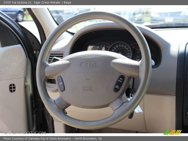 Sage Green Metallic / Beige 2005 Kia Sedona LX