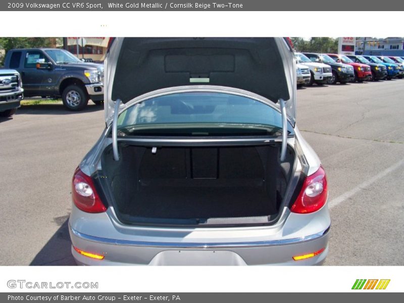 White Gold Metallic / Cornsilk Beige Two-Tone 2009 Volkswagen CC VR6 Sport