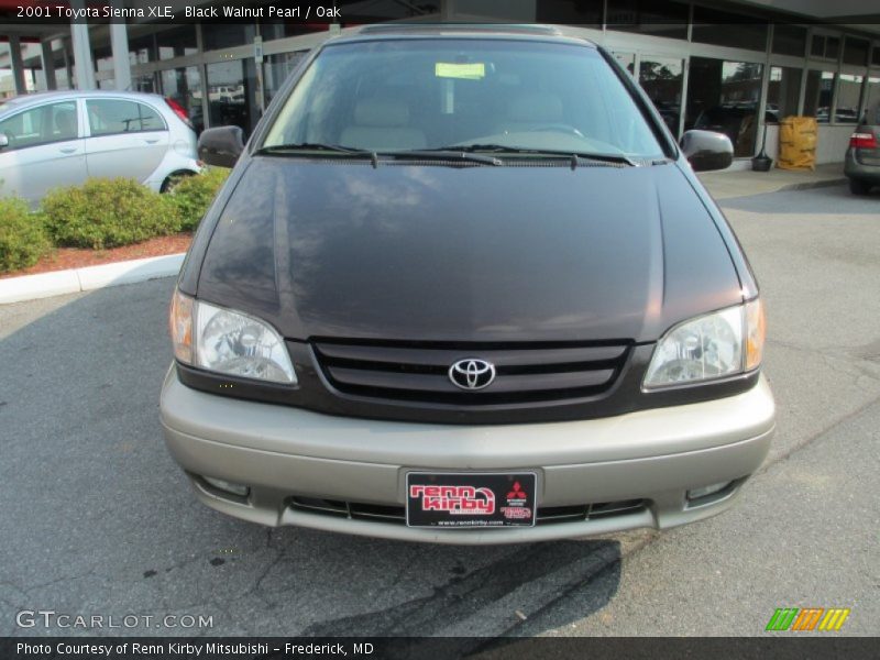 Black Walnut Pearl / Oak 2001 Toyota Sienna XLE