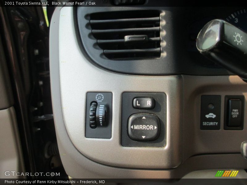 Black Walnut Pearl / Oak 2001 Toyota Sienna XLE