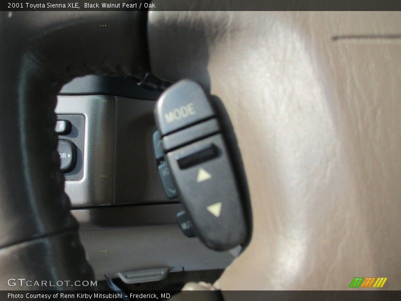 Black Walnut Pearl / Oak 2001 Toyota Sienna XLE