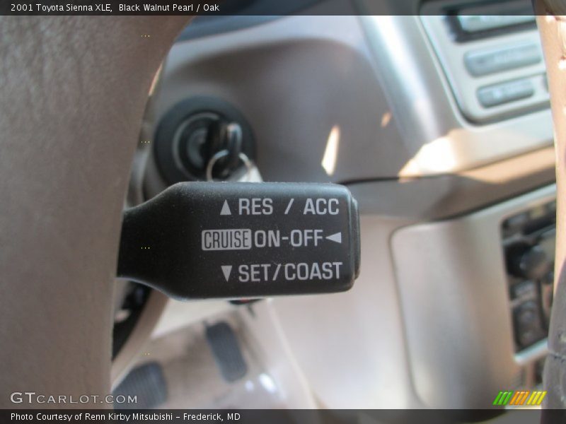 Black Walnut Pearl / Oak 2001 Toyota Sienna XLE