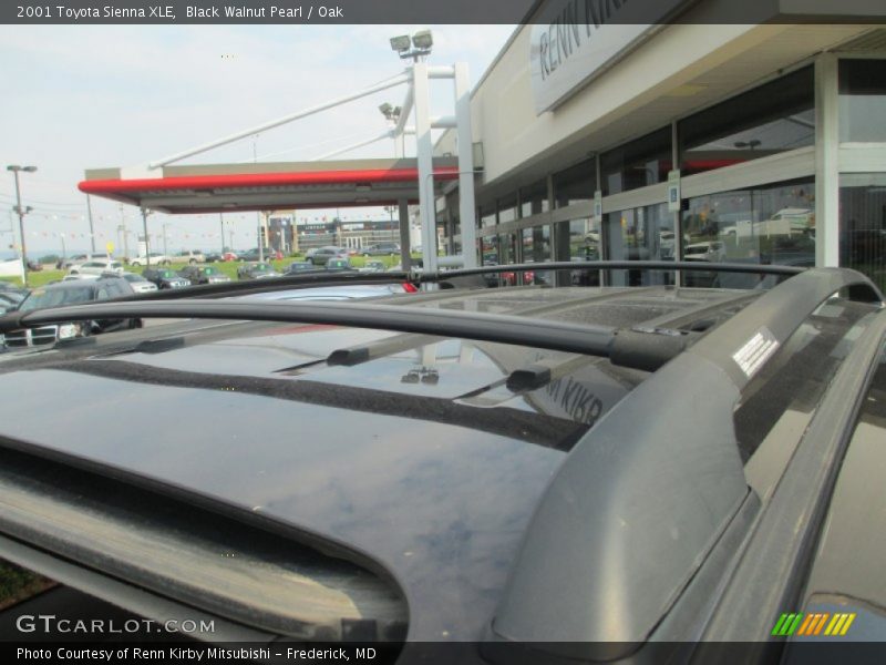 Black Walnut Pearl / Oak 2001 Toyota Sienna XLE