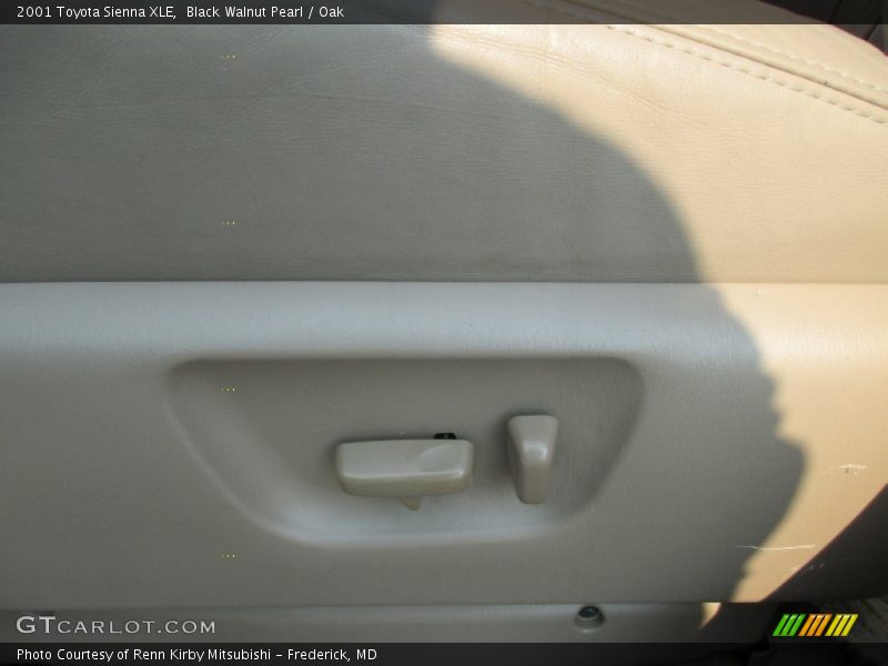 Black Walnut Pearl / Oak 2001 Toyota Sienna XLE
