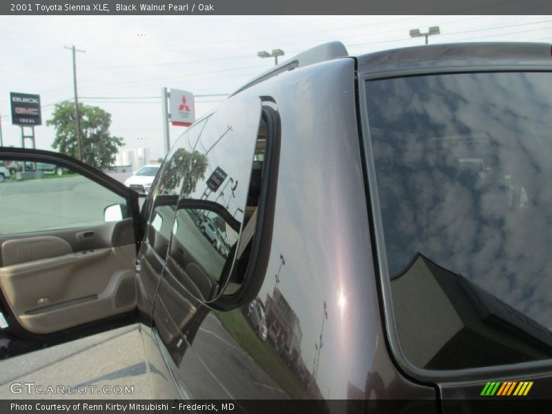 Black Walnut Pearl / Oak 2001 Toyota Sienna XLE