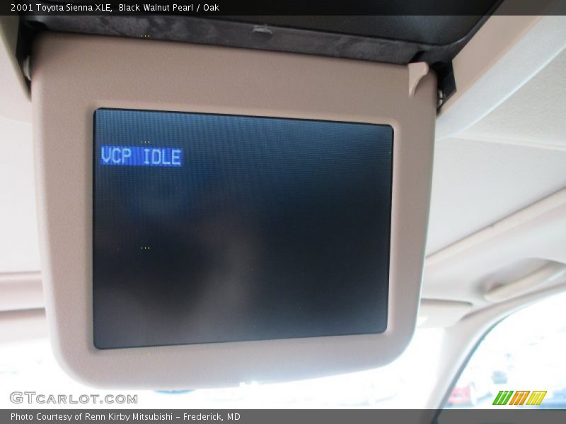 Black Walnut Pearl / Oak 2001 Toyota Sienna XLE
