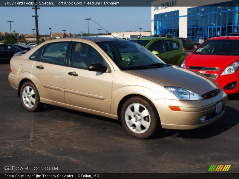 Fort Knox Gold / Medium Parchment 2002 Ford Focus ZTS Sedan