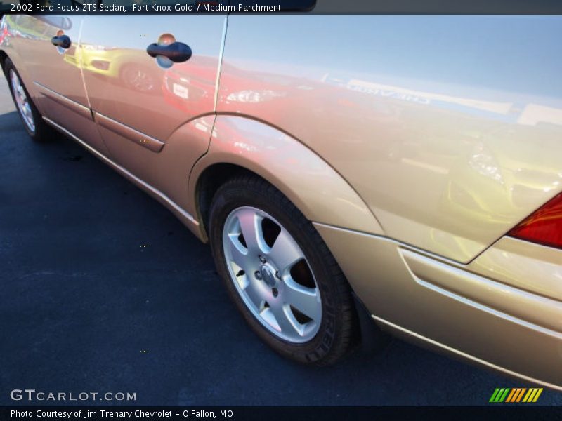 Fort Knox Gold / Medium Parchment 2002 Ford Focus ZTS Sedan