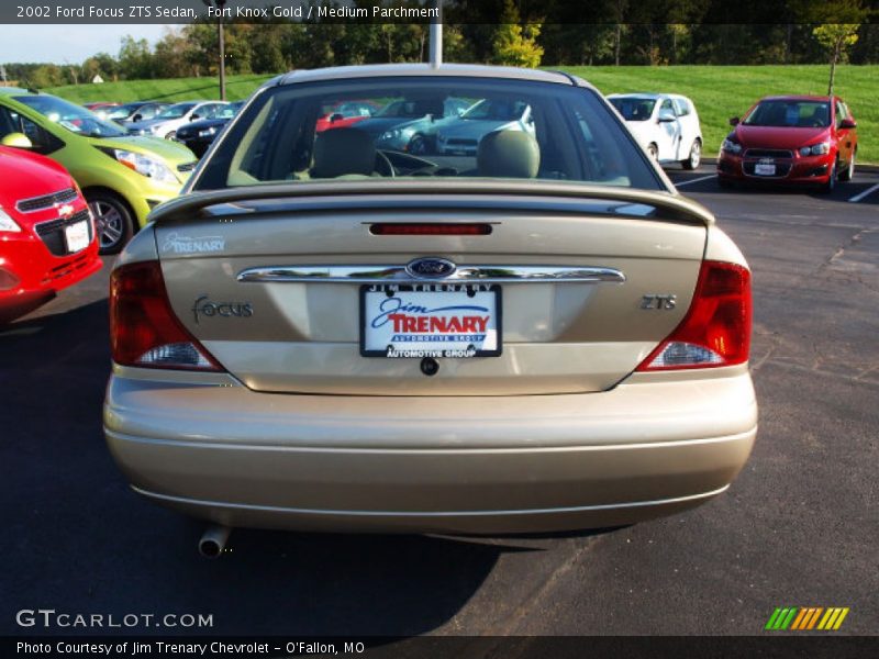 Fort Knox Gold / Medium Parchment 2002 Ford Focus ZTS Sedan