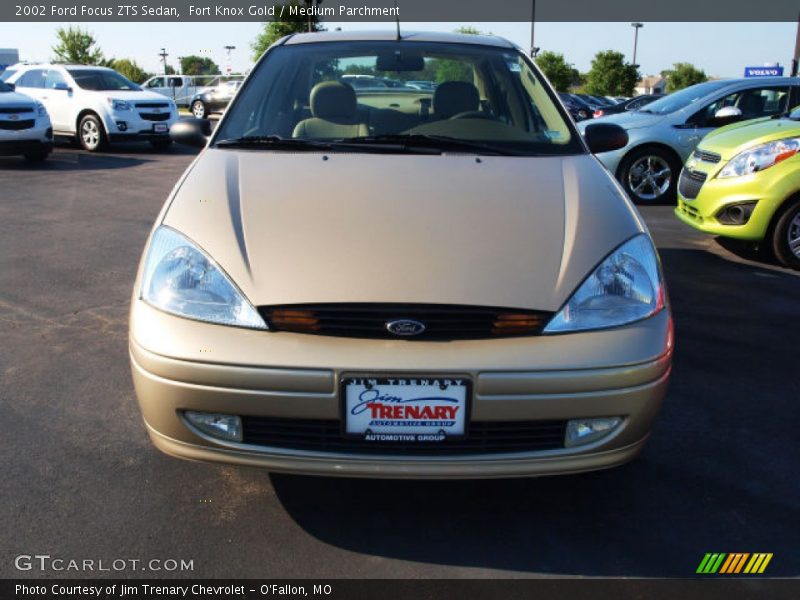 Fort Knox Gold / Medium Parchment 2002 Ford Focus ZTS Sedan