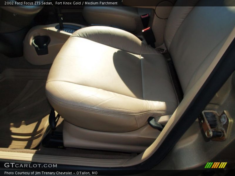 Fort Knox Gold / Medium Parchment 2002 Ford Focus ZTS Sedan