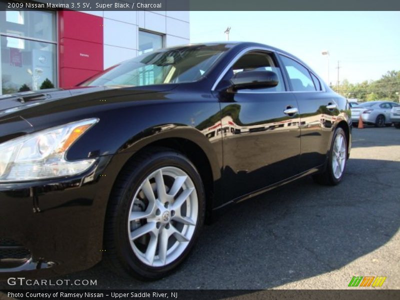 Super Black / Charcoal 2009 Nissan Maxima 3.5 SV