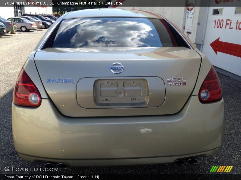 Champagne Mist Metallic / Cafe Latte 2004 Nissan Maxima 3.5 SL