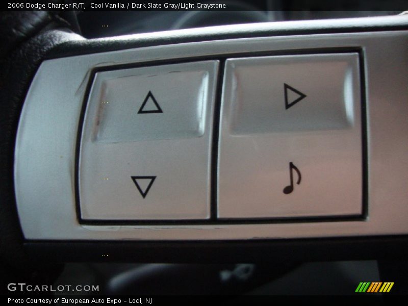 Cool Vanilla / Dark Slate Gray/Light Graystone 2006 Dodge Charger R/T