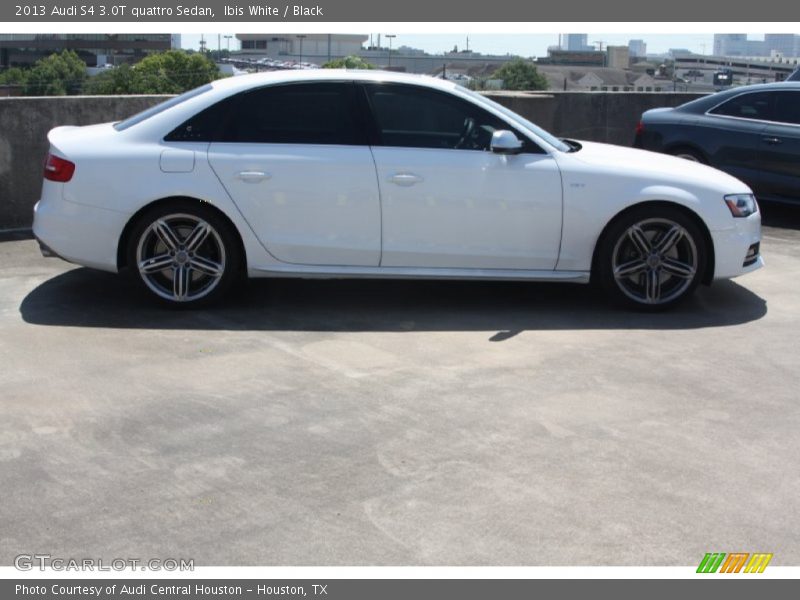 Ibis White / Black 2013 Audi S4 3.0T quattro Sedan