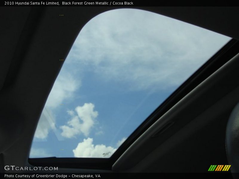 Black Forest Green Metallic / Cocoa Black 2010 Hyundai Santa Fe Limited