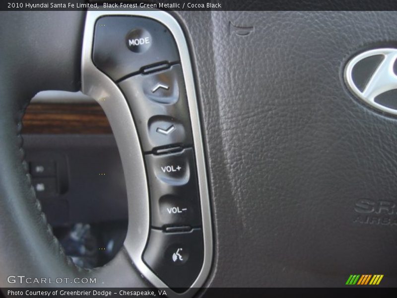 Black Forest Green Metallic / Cocoa Black 2010 Hyundai Santa Fe Limited