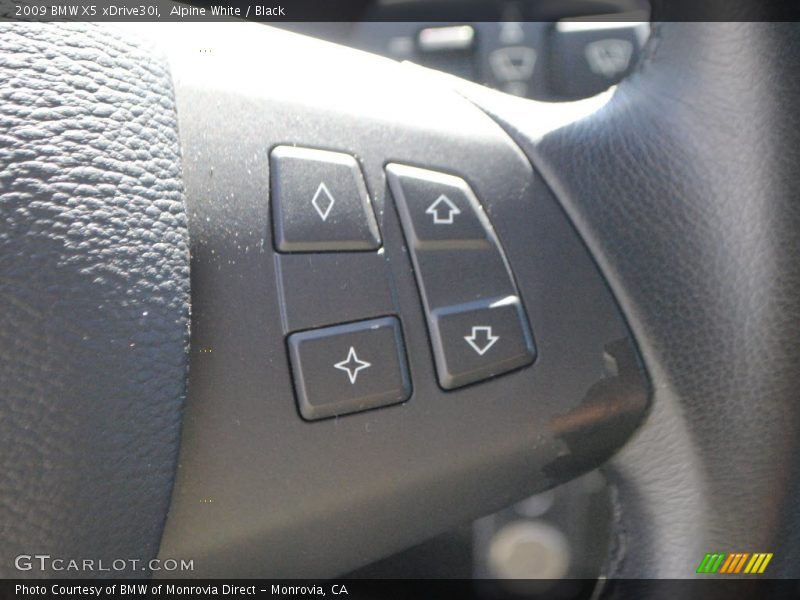 Alpine White / Black 2009 BMW X5 xDrive30i