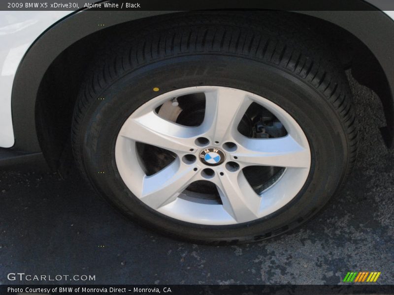 Alpine White / Black 2009 BMW X5 xDrive30i