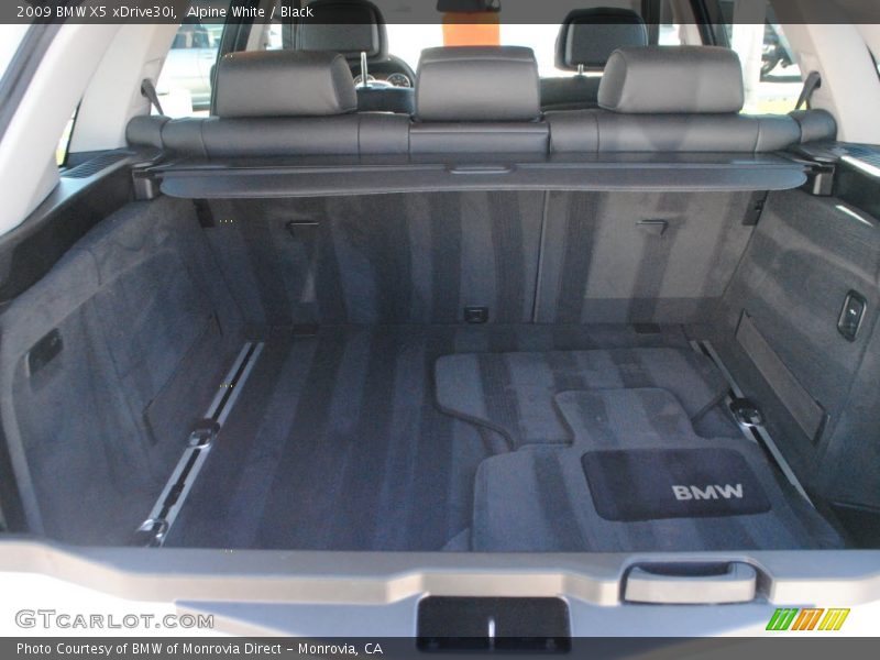 Alpine White / Black 2009 BMW X5 xDrive30i