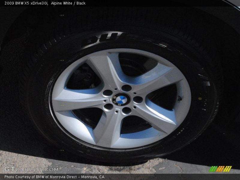 Alpine White / Black 2009 BMW X5 xDrive30i