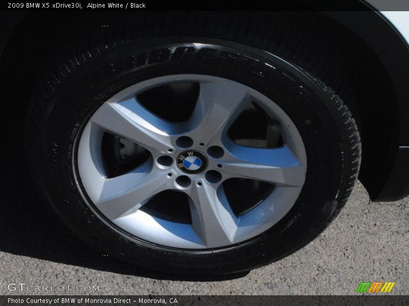 Alpine White / Black 2009 BMW X5 xDrive30i
