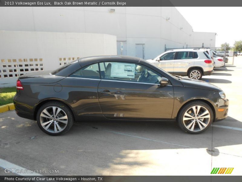Black Oak Brown Metallic / Cornsilk Beige 2013 Volkswagen Eos Lux