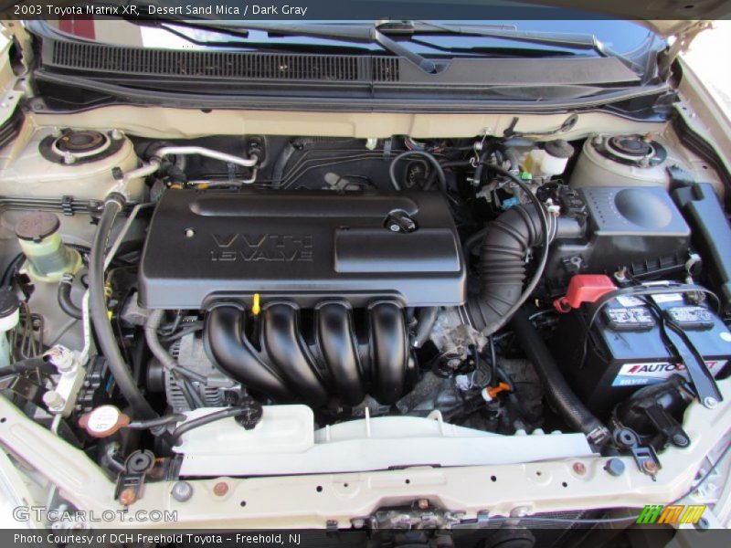 Desert Sand Mica / Dark Gray 2003 Toyota Matrix XR