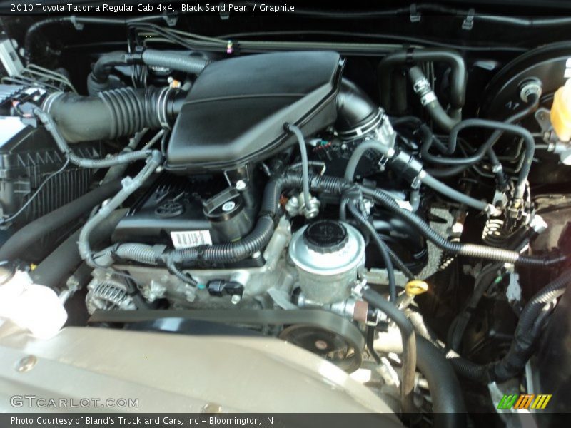 Black Sand Pearl / Graphite 2010 Toyota Tacoma Regular Cab 4x4