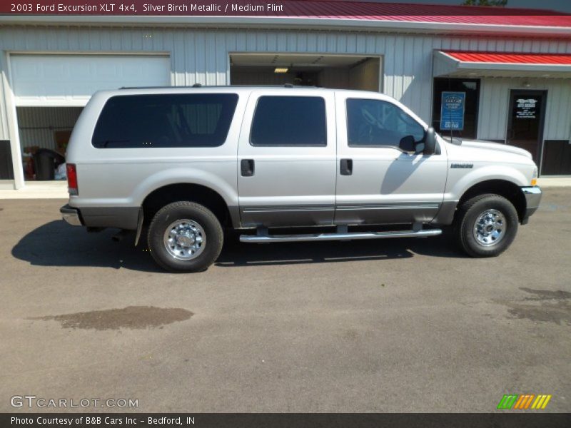 Silver Birch Metallic / Medium Flint 2003 Ford Excursion XLT 4x4