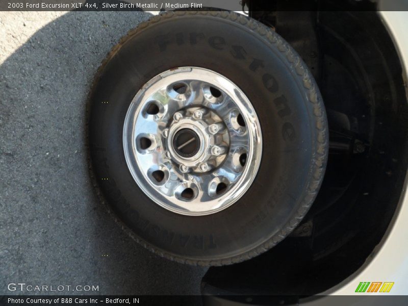 Silver Birch Metallic / Medium Flint 2003 Ford Excursion XLT 4x4