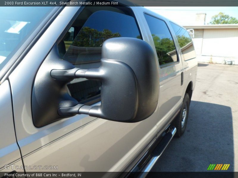 Silver Birch Metallic / Medium Flint 2003 Ford Excursion XLT 4x4