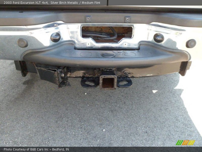 Silver Birch Metallic / Medium Flint 2003 Ford Excursion XLT 4x4