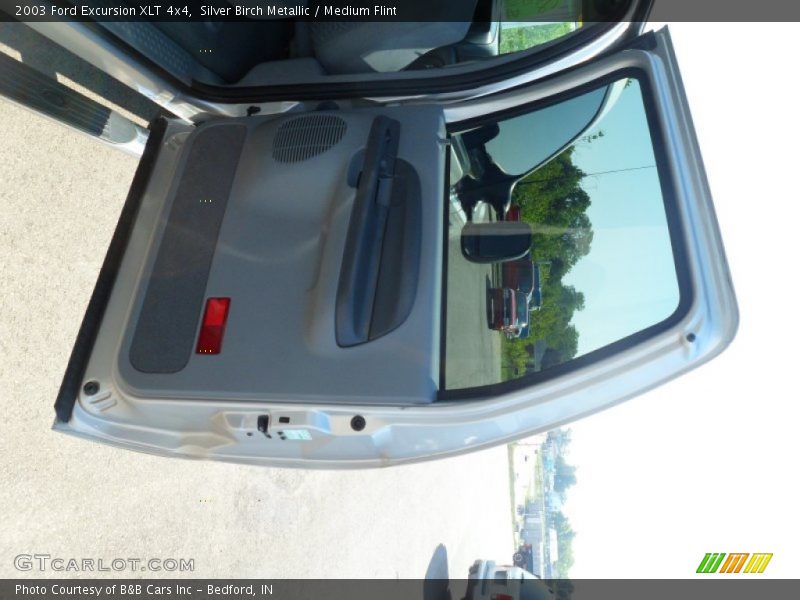 Silver Birch Metallic / Medium Flint 2003 Ford Excursion XLT 4x4