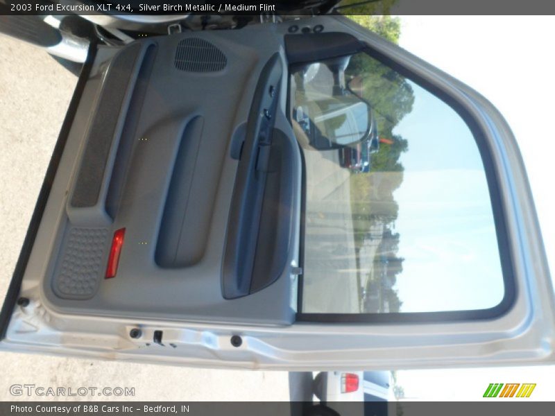 Silver Birch Metallic / Medium Flint 2003 Ford Excursion XLT 4x4