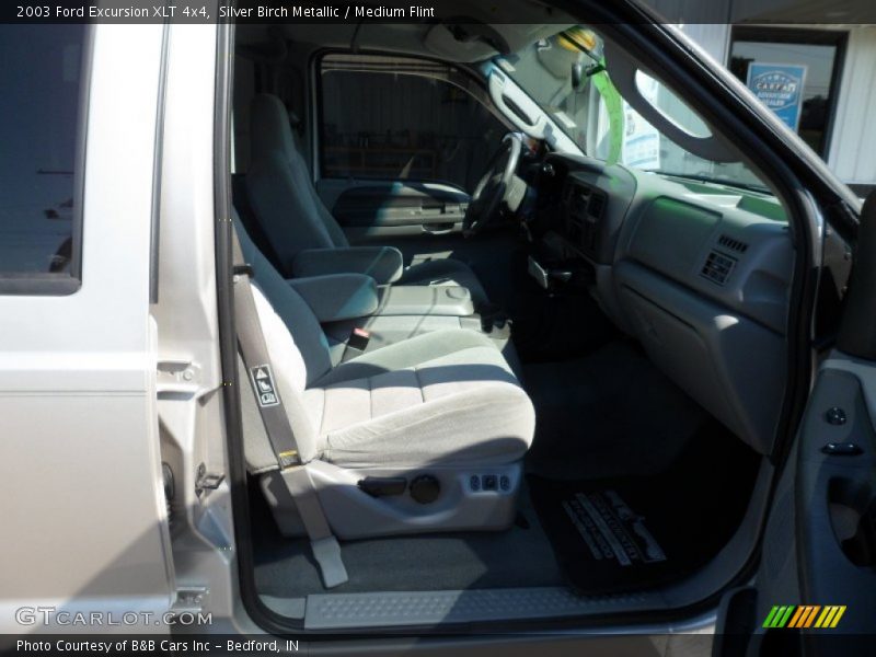Silver Birch Metallic / Medium Flint 2003 Ford Excursion XLT 4x4