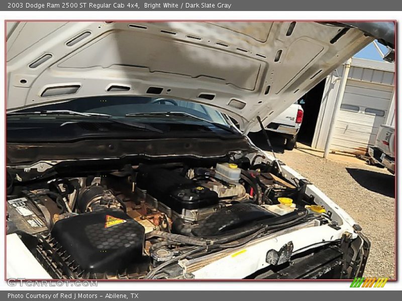 Bright White / Dark Slate Gray 2003 Dodge Ram 2500 ST Regular Cab 4x4